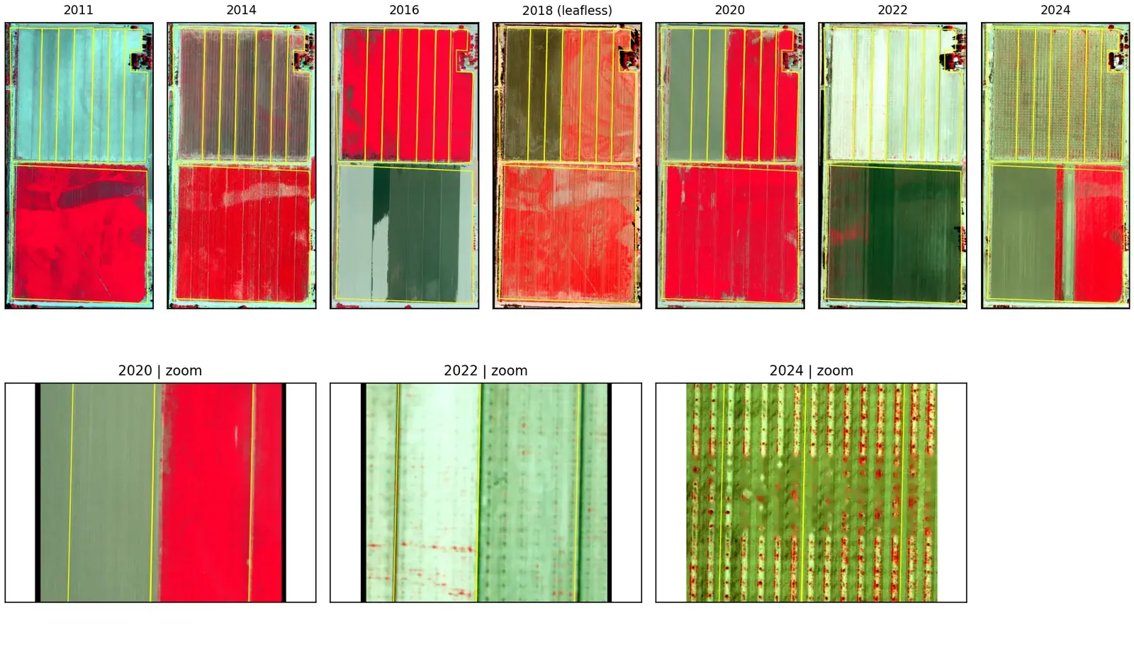 Series of colour-infrared aerial photos from 2011 to 2024 with zooms for 2020, 2022 and 2024.