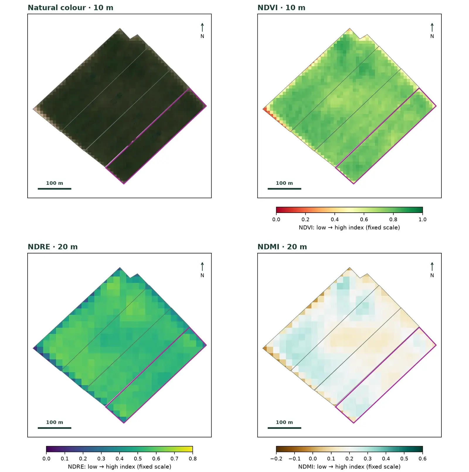 Precision agriculture analysis of a pecan orchard.